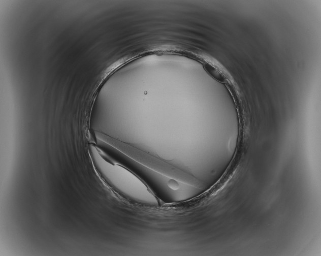 X0000084030945200703092007