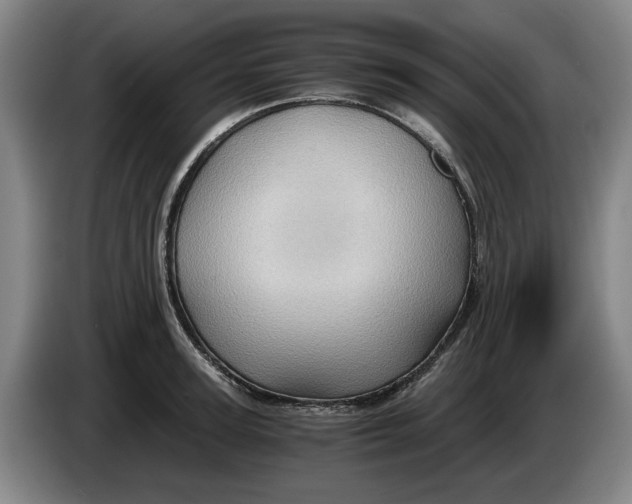 X0000084030947200703092007