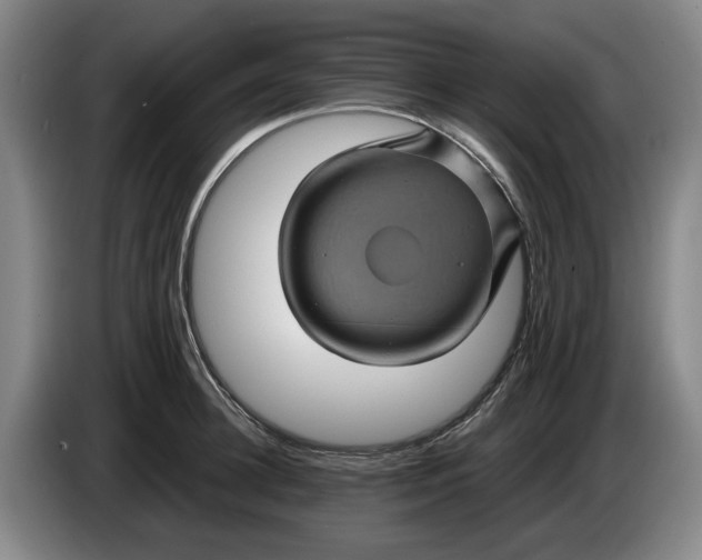 X0000084030948200703092007