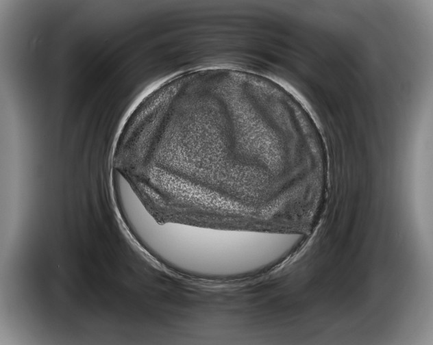 X0000084030949200703092007