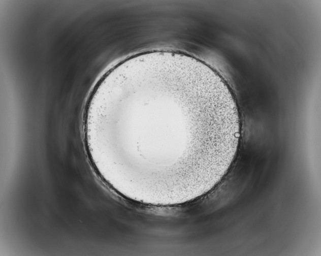 X0000084030950200703092007