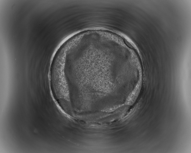 X0000084030951200703092007