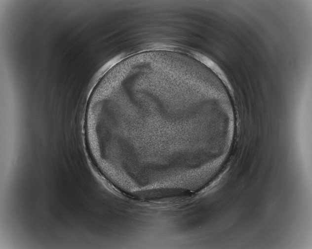 X0000084030954200703092007