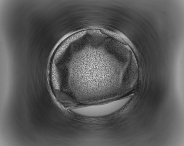 X0000084030955200703092007