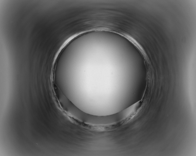 X0000084030956200703092007