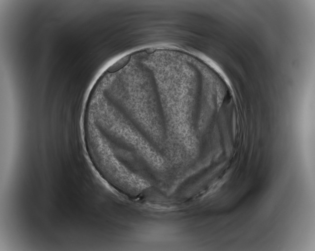 X0000084030959200703092007