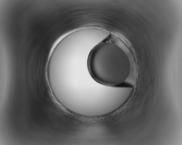 X0000084030960200703092007