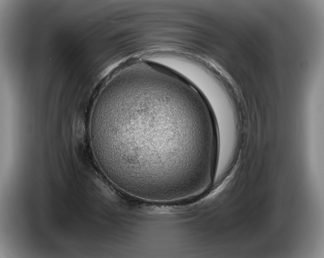 X0000084030969200703092007