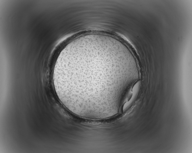 X0000084030971200703092007