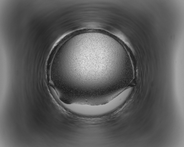 X0000084030972200703092007