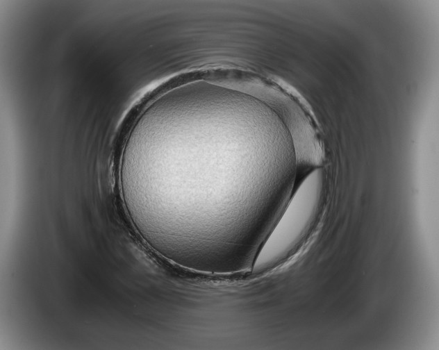 X0000084030973200703092007