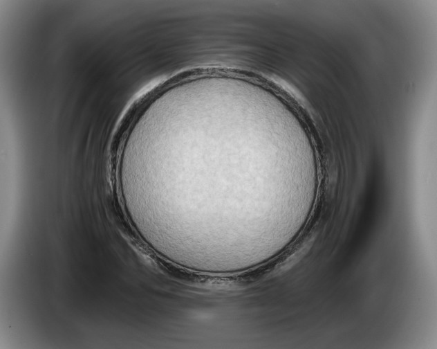 X0000084030974200703092007