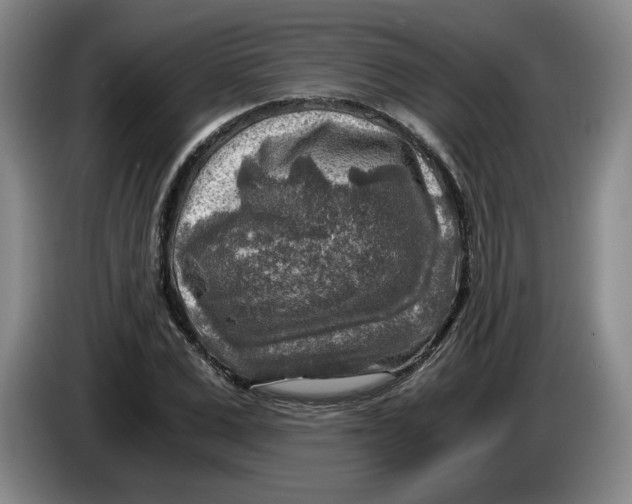 X0000084030975200703092007