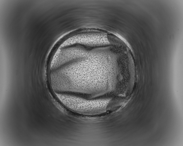 X0000084030976200703092007