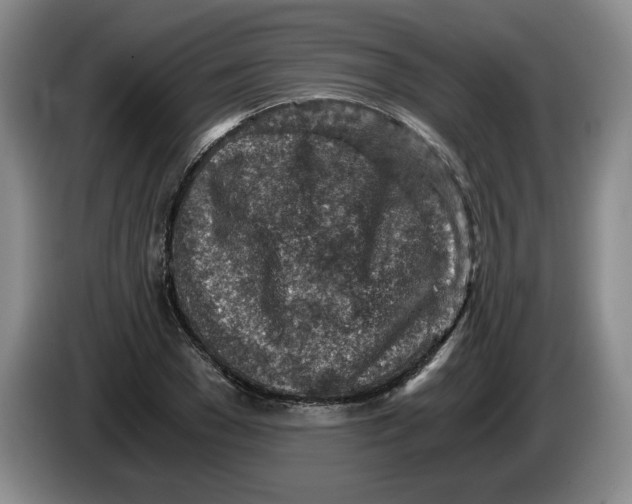 X0000084030977200703092007