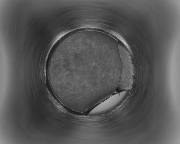 X0000084030980200703092006