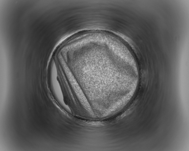 X0000084030982200703092006