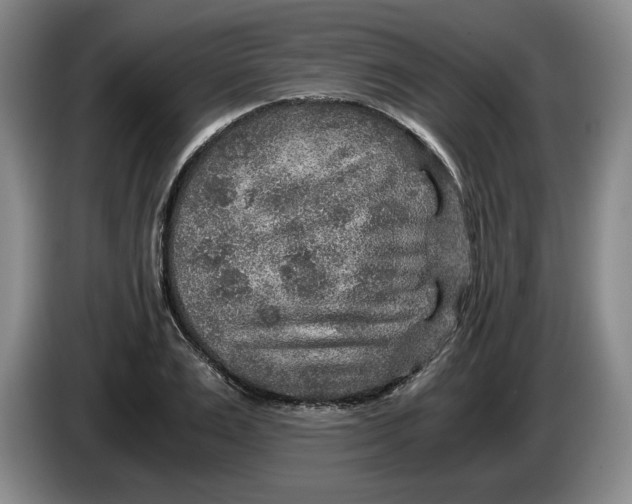 X0000084030983200703092006