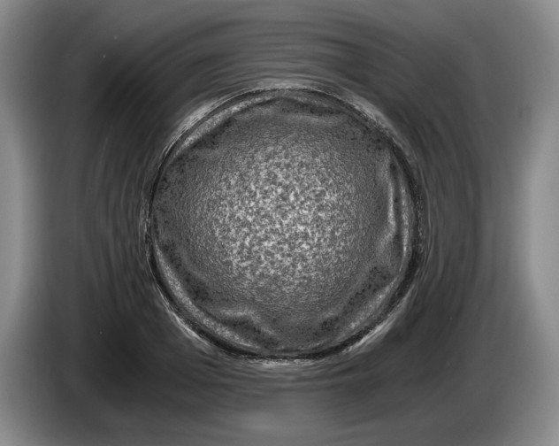 X0000084030985200703092006