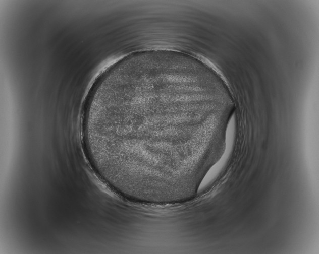 X0000084030987200703092006