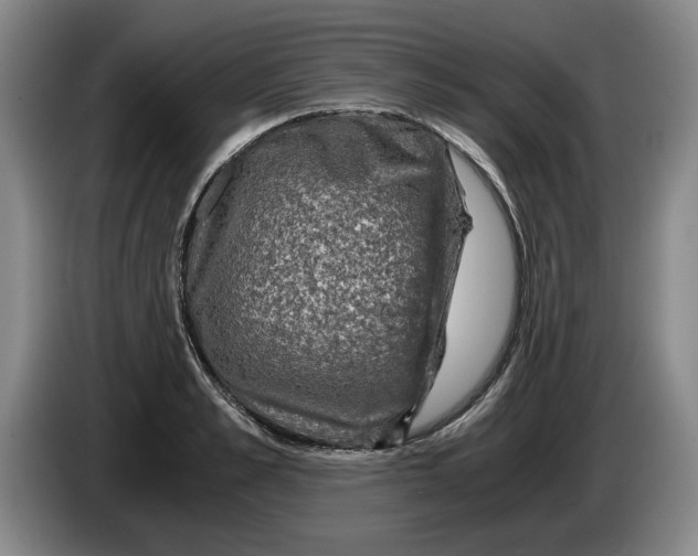 X0000084030989200703092006