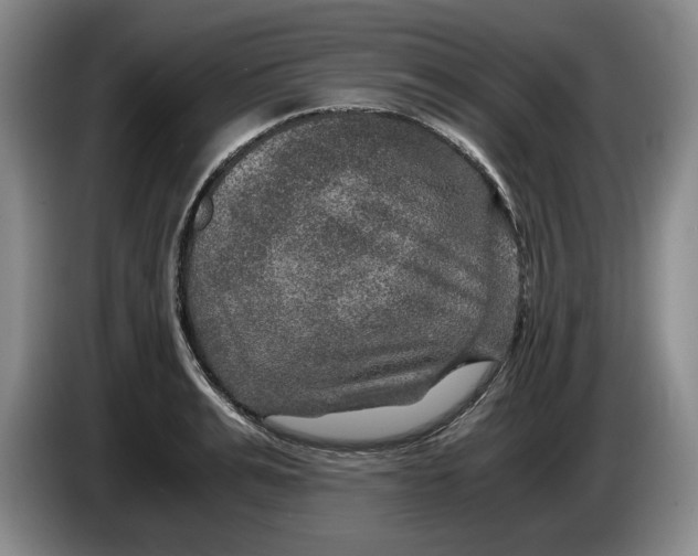 X0000084030991200703092006