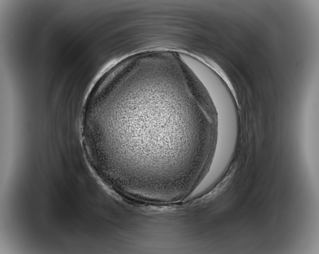 X0000084030997200703092006