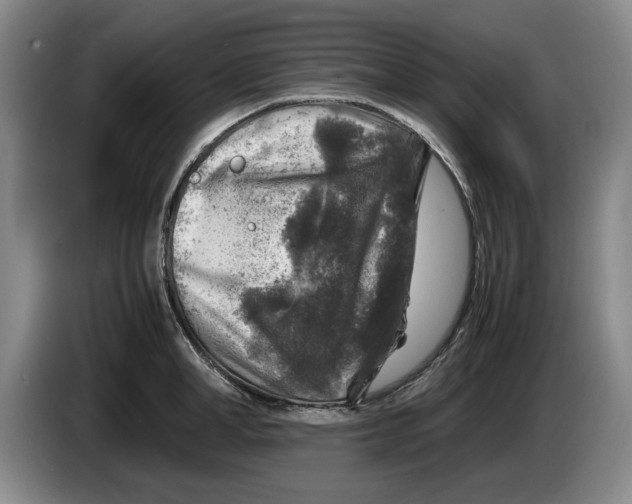 X0000084030998200703092006