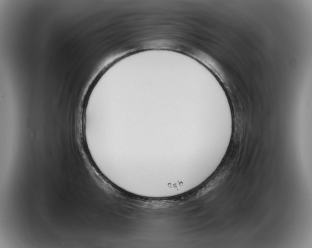 X0000084031000200703092006