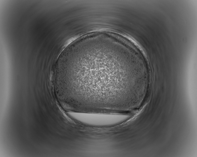 X0000084031001200703092006