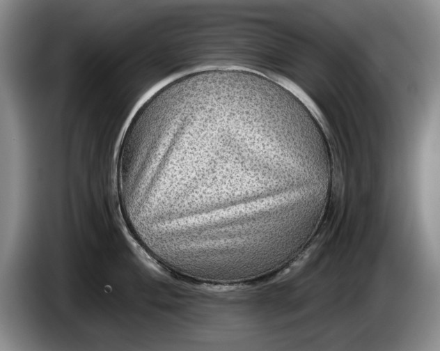 X0000084031004200703092006