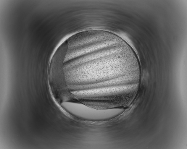 X0000084031005200703092006