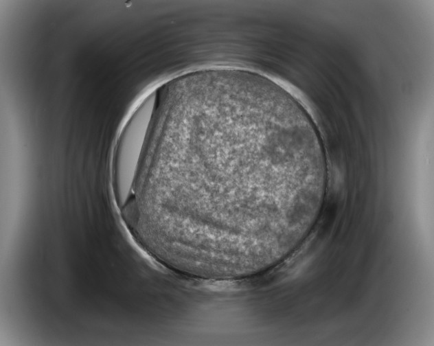 X0000084031006200703092006