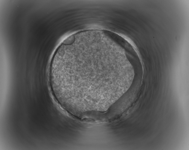 X0000084031008200703092006