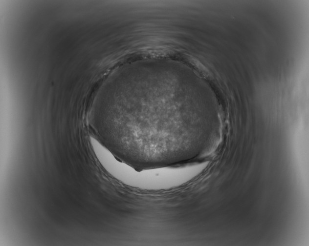 X0000084031010200703092005