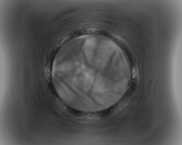 X0000084031011200703092005