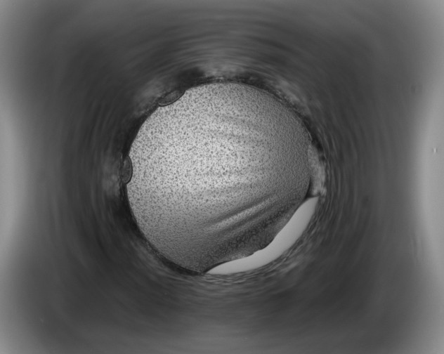 X0000084031012200703092006