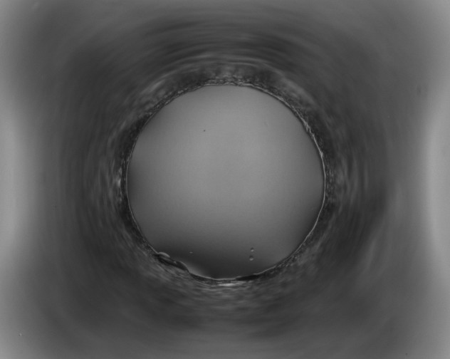 X0000084031013200703092006