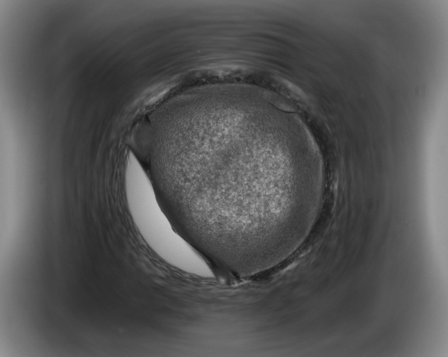 X0000084031014200703092006