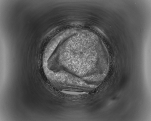 X0000084031015200703092006