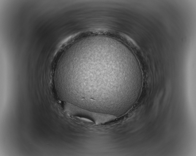 X0000084031016200703092006