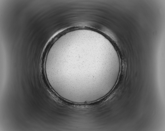 X0000084031020200703092006