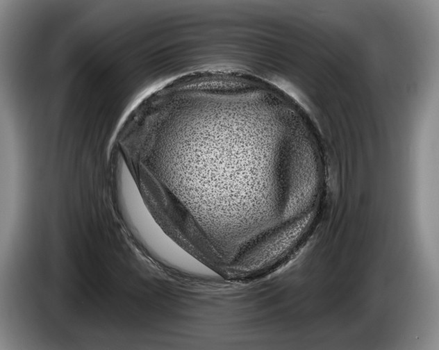 X0000084031022200703092006