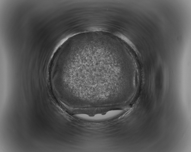 X0000084031023200703092006