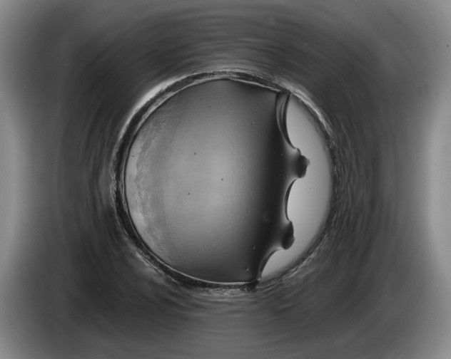 X0000084031024200703092006