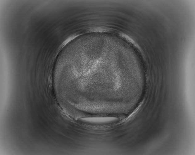 X0000084031025200703092006