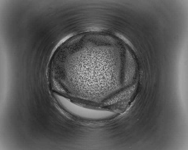 X0000084031026200703092006