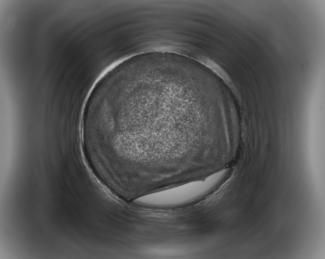 X0000084031028200703092006