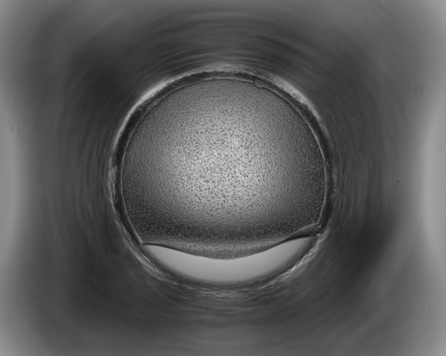 X0000084031029200703092006