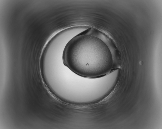 X0000084031030200703092006